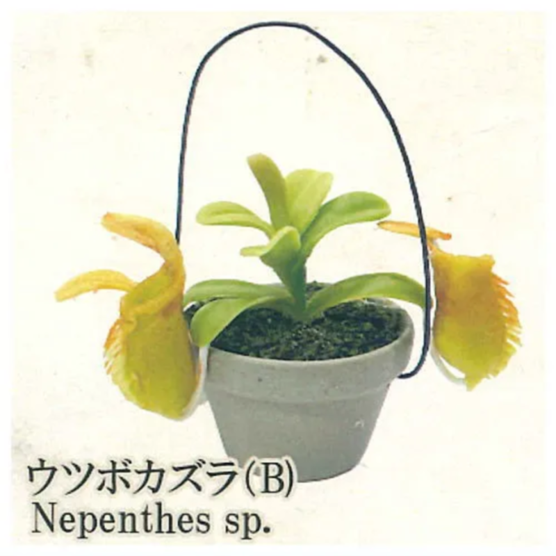 Japonia Tęcza Gashapon Zabawka – Capsule Toy Gashapon recenzja i cena